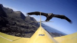 Frontside 60 (F60) -Aloft Hobbies Shop 0013 zpslmks5mnb 300x169 1 2e53b277 371d 47a5 bf1f b4aa758c5894