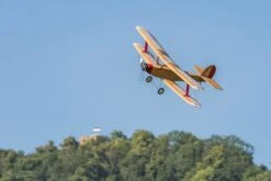 Udet Flamingo By Aeronaut