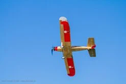 Udet Flamingo By Aeronaut -Aloft Hobbies Shop 133300 Udet Flamingo IMG 9518 1920x1920 6e6876eb 620e 4d2f 868f 205cc541779f