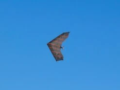 Carbon Falcon Standard Kit -Aloft Hobbies Shop CarbonFalconShoot11