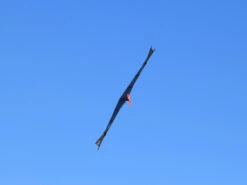 Carbon Falcon Standard Kit -Aloft Hobbies Shop CarbonFalconShoot12