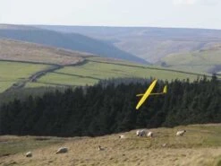 PCM Erwin - 2 Meter Slope Glider -Aloft Hobbies Shop E J 12