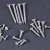 SAE S.S. Pan Head Phillips Sheet Metal Screws 2x3/16 100pcs -Aloft Hobbies Shop dsc 0038 d0fad157 0603 4aab 90df 1a223d4b147d